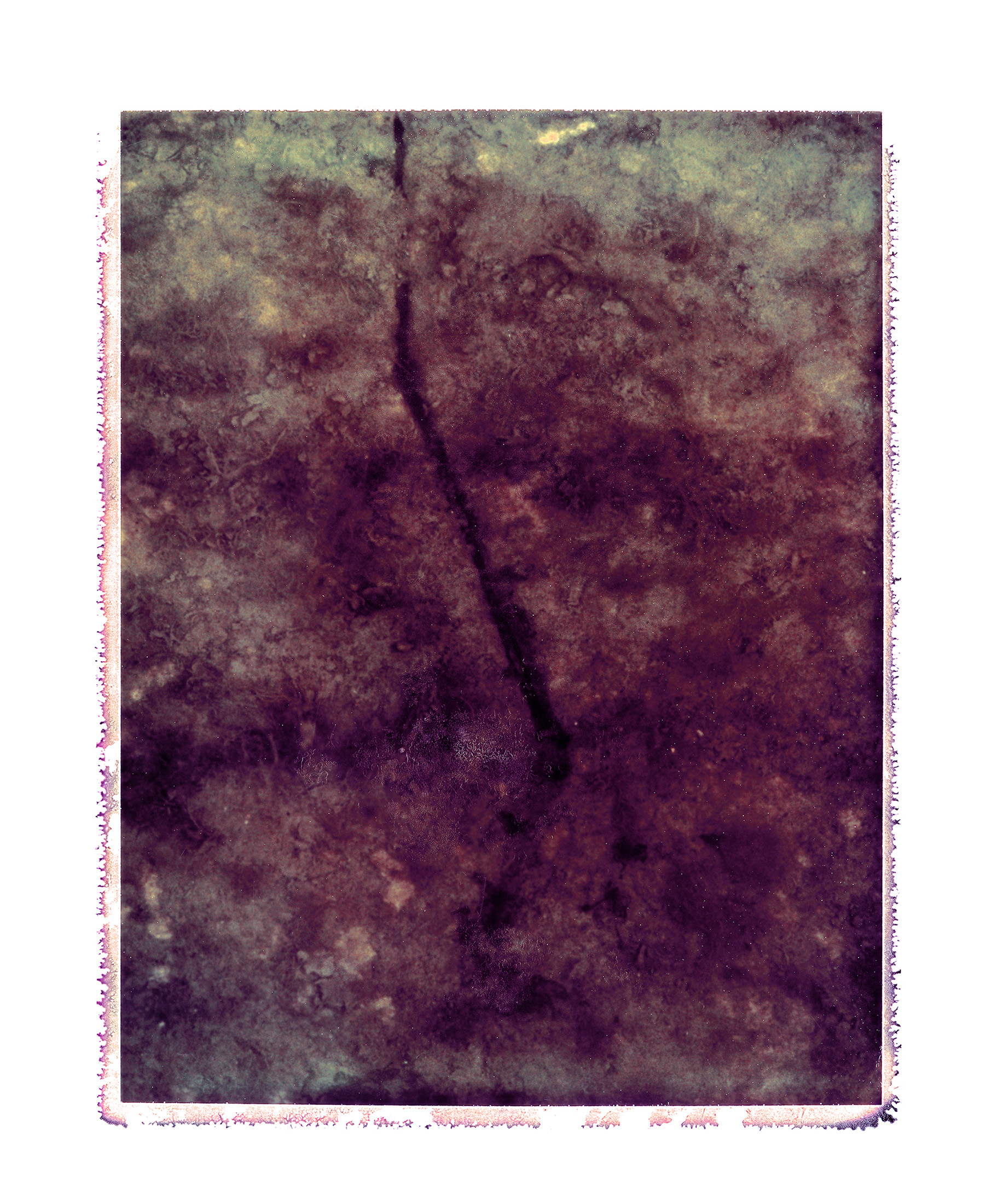 Espa.èces menacé.es - Venise 12